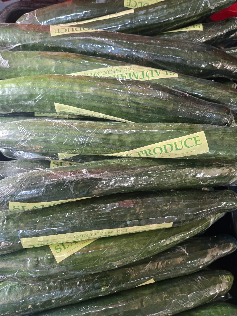 Fresh Vegetables — Cucumbers, Tomatoes, Yams, Chinese Cabbage & Celery