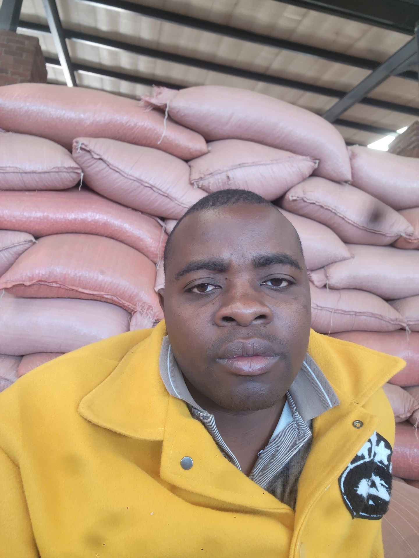 Premium sugar beans  and maize