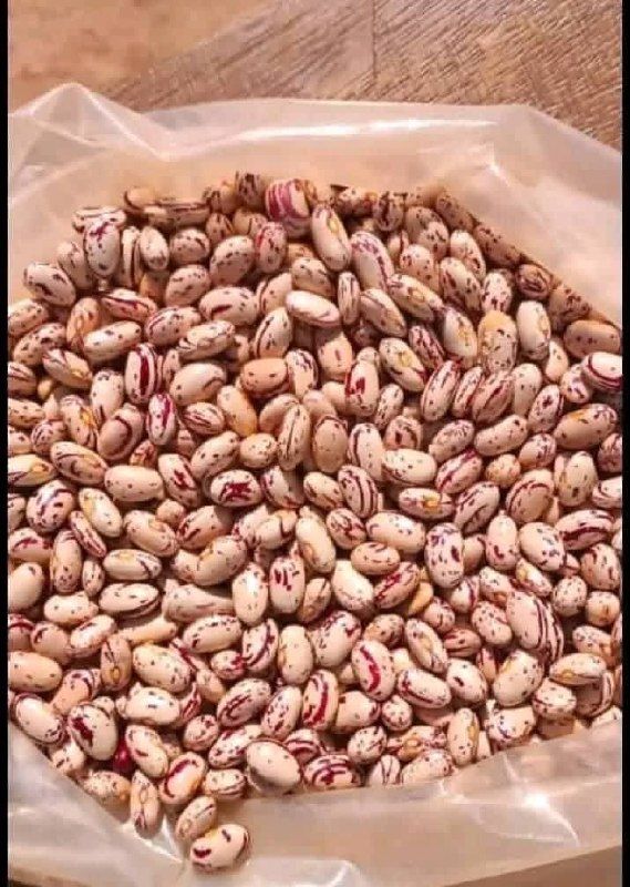 Dried Beans — Speckled & Kidney (Garikai Market, Masvingo)