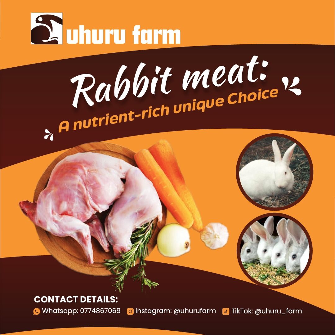Dressed Rabbit Meat(organic)